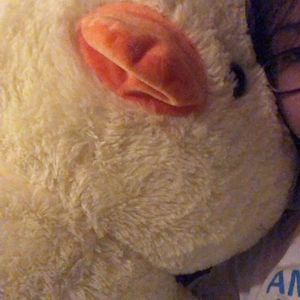 Meet your Posher, Carrot